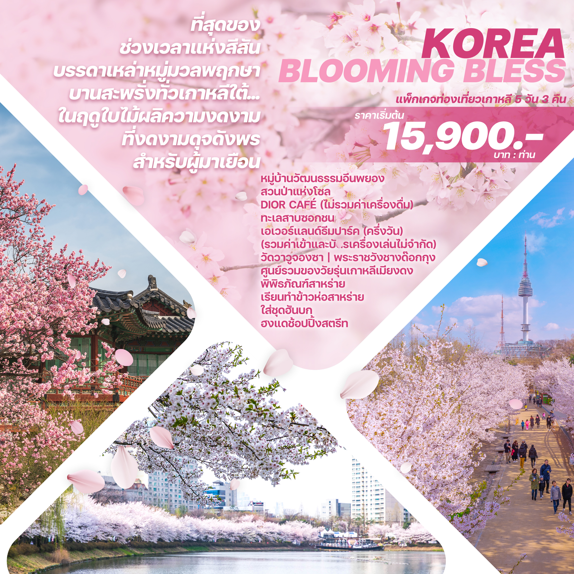 ทัวร์เกาหลี KOREA BLOOMING BLESS 5วัน 3คืน 7C / BX