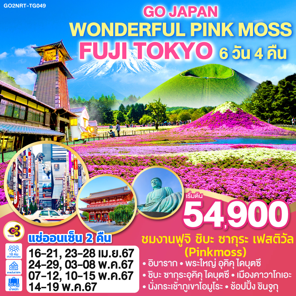 ทัวร์ญี่ปุ่น WONDERFUL PINK MOSS FUJI TOKYO 6วัน 4คืน TG