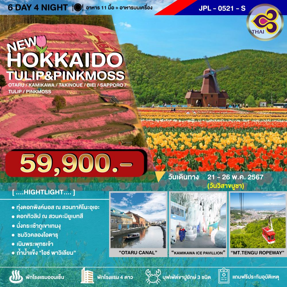 ทัวร์ญี่ปุ่น HOKKAIDO TULIP PINKMOSS  6วัน 4คืน TG
