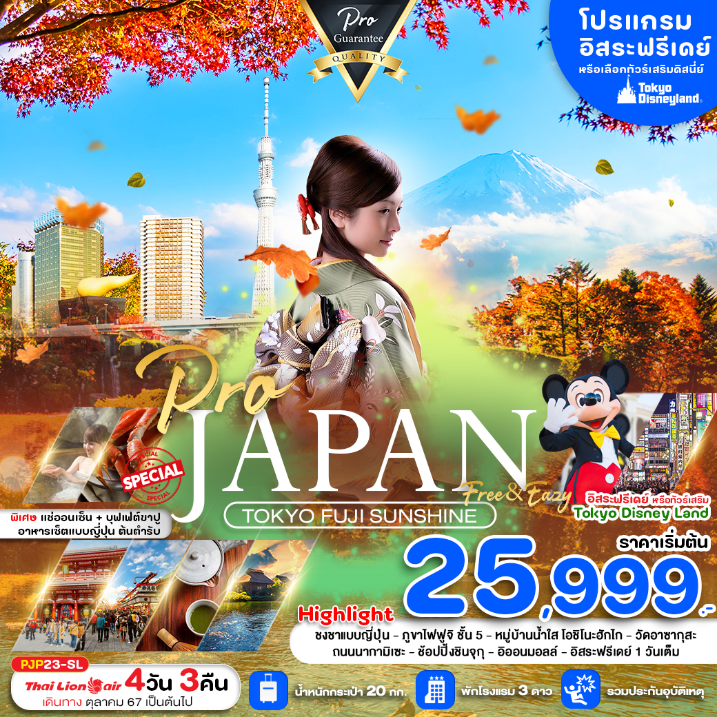 ทัวร์ญี่ปุ่น PRO TOKYO FUJI SUNSHINE FREE & EASY 4วัน 3คืน SL