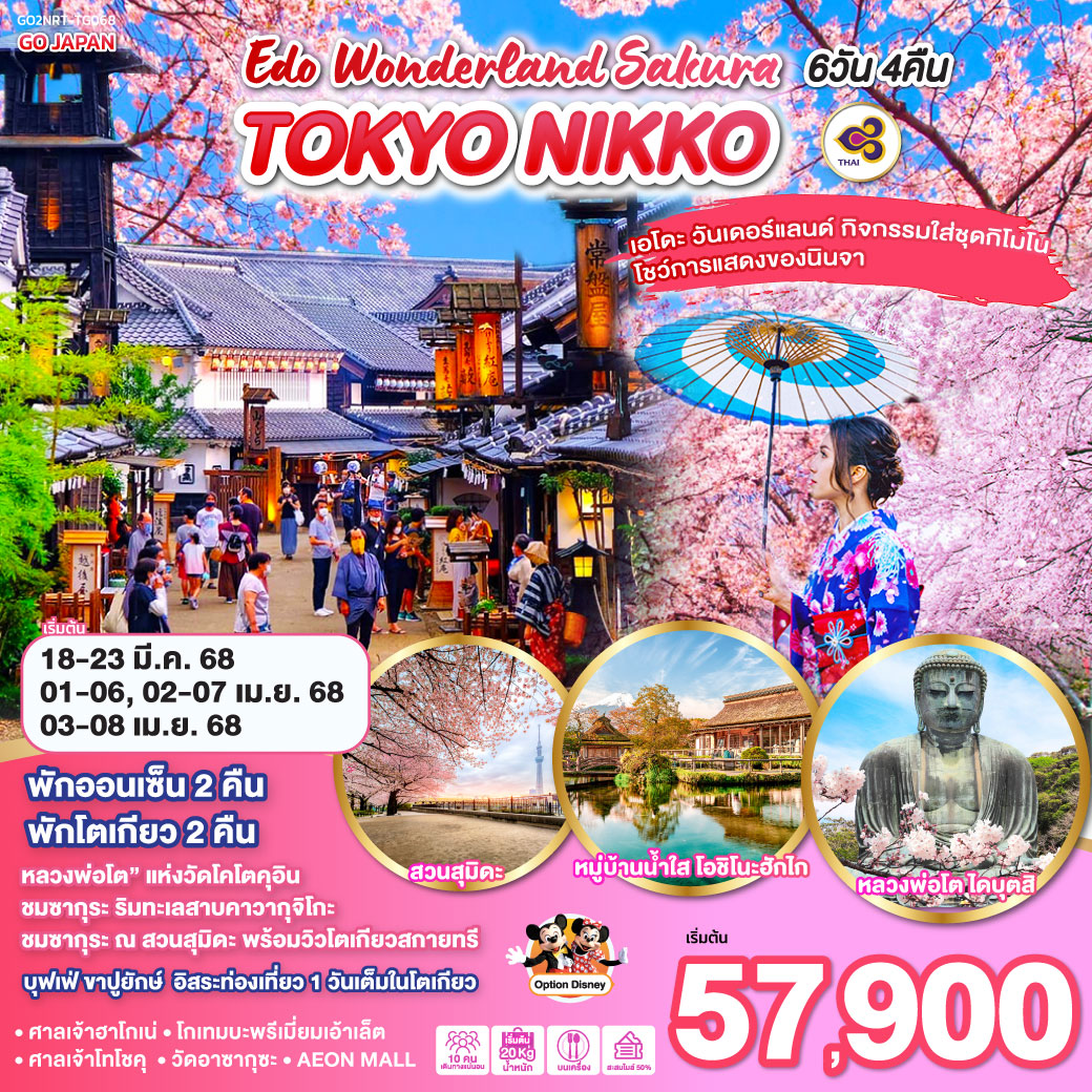 ทัวร์ญี่ปุ่น TOKYO NIKKO EDO WONDERLAND SAKURA 6วัน 4คืน TG