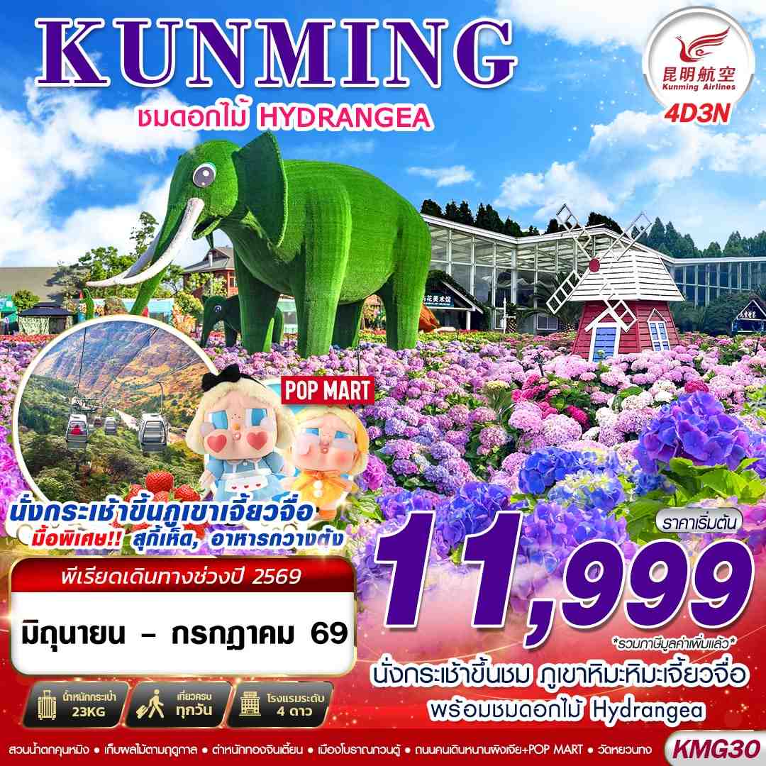 ทัวร์จีน KUNMING ภูเขาหิมะเจี้ยวจื่อ - ดอกไม้ Hydrangea 4วัน 3คืน KY