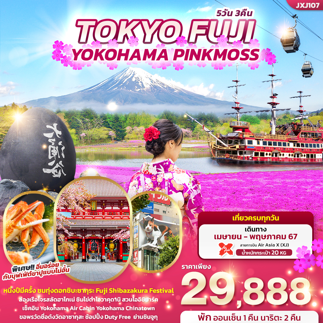 ทัวร์ญี่ปุ่น TOKYO FUJI YOKOHAMA PINKMOSS 5วัน 3คืน XJ