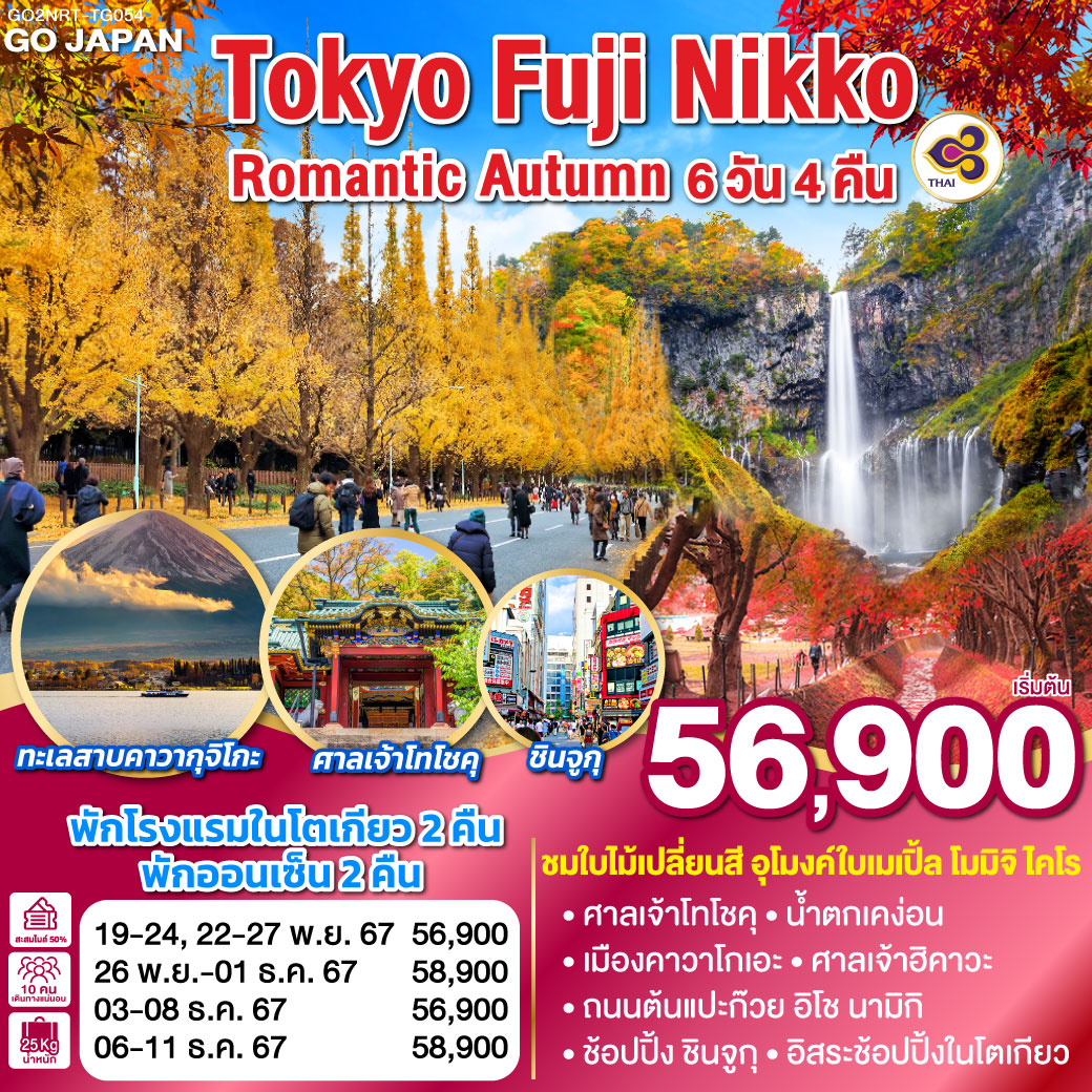 ทัวร์ญี่ปุ่น TOKYO FUJI NIKKO ROMANTIC AUTUMN 6วัน 4คืน TG