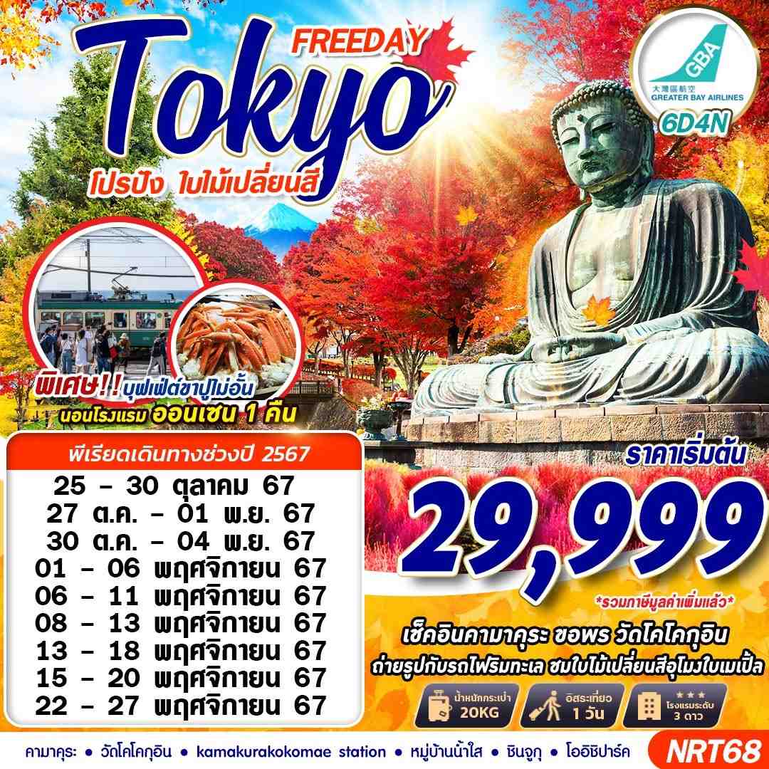 ทัวร์ญี่ปุ่น TOKYO AUTUMN โปรปัง ใบไม้เปลี่ยนสี (FREEDAY) 6วัน 4คืน HB