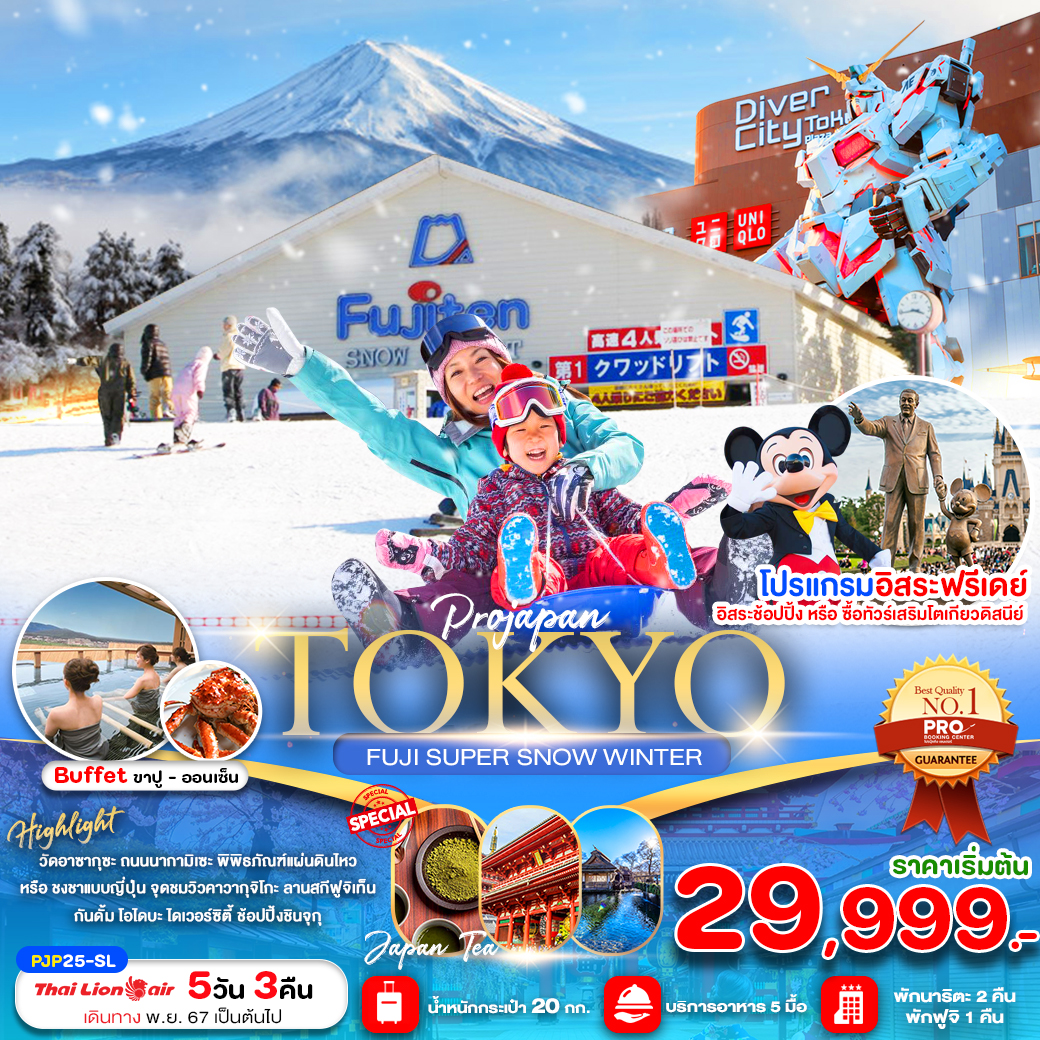 ทัวร์ญี่ปุ่น TOKYO FUJI SUPER SNOW WINTER 5วัน 3คืน SL