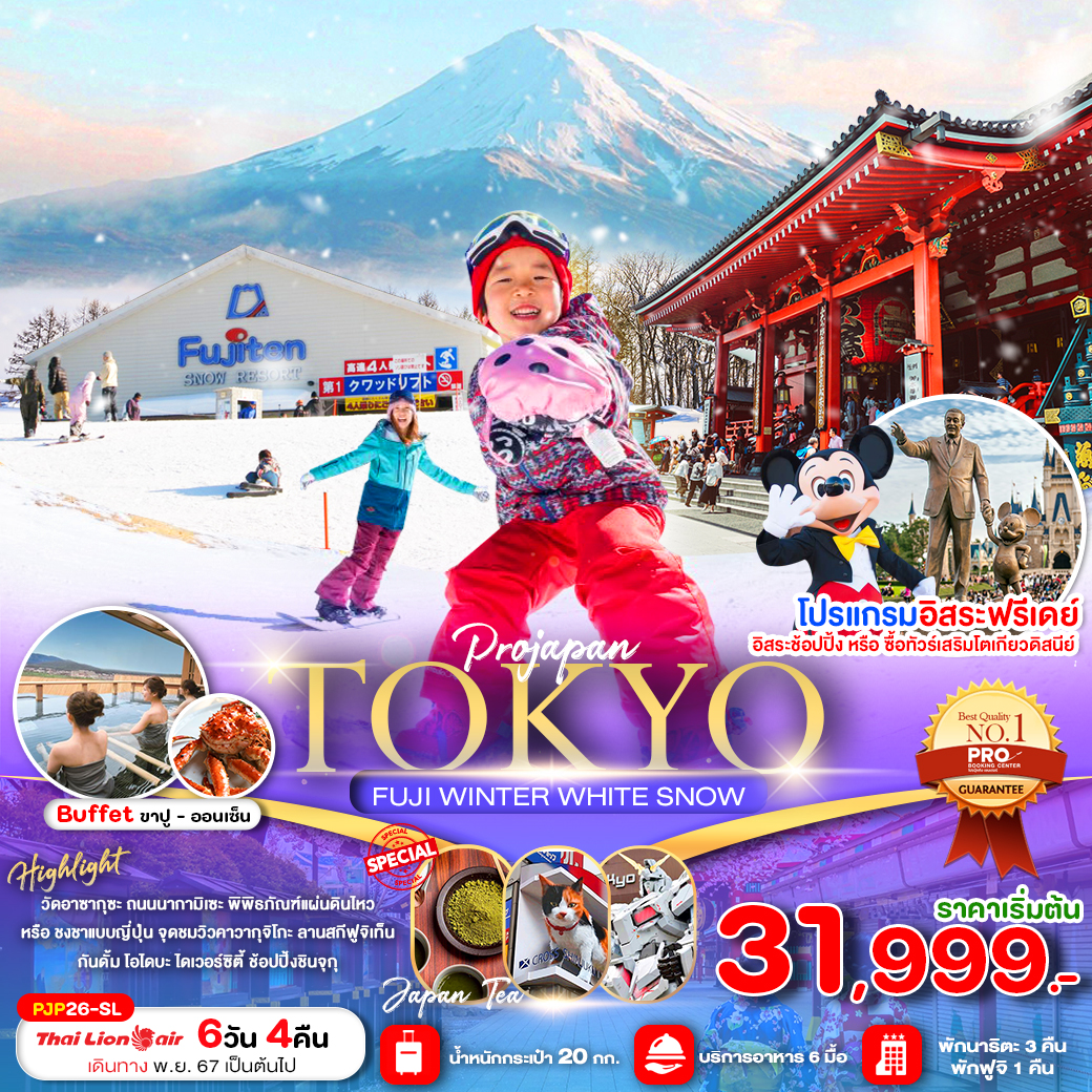 ทัวร์ญี่ปุ่น TOKYO FUJI WINTER WHITE SNOW 6วัน 4คืน SL