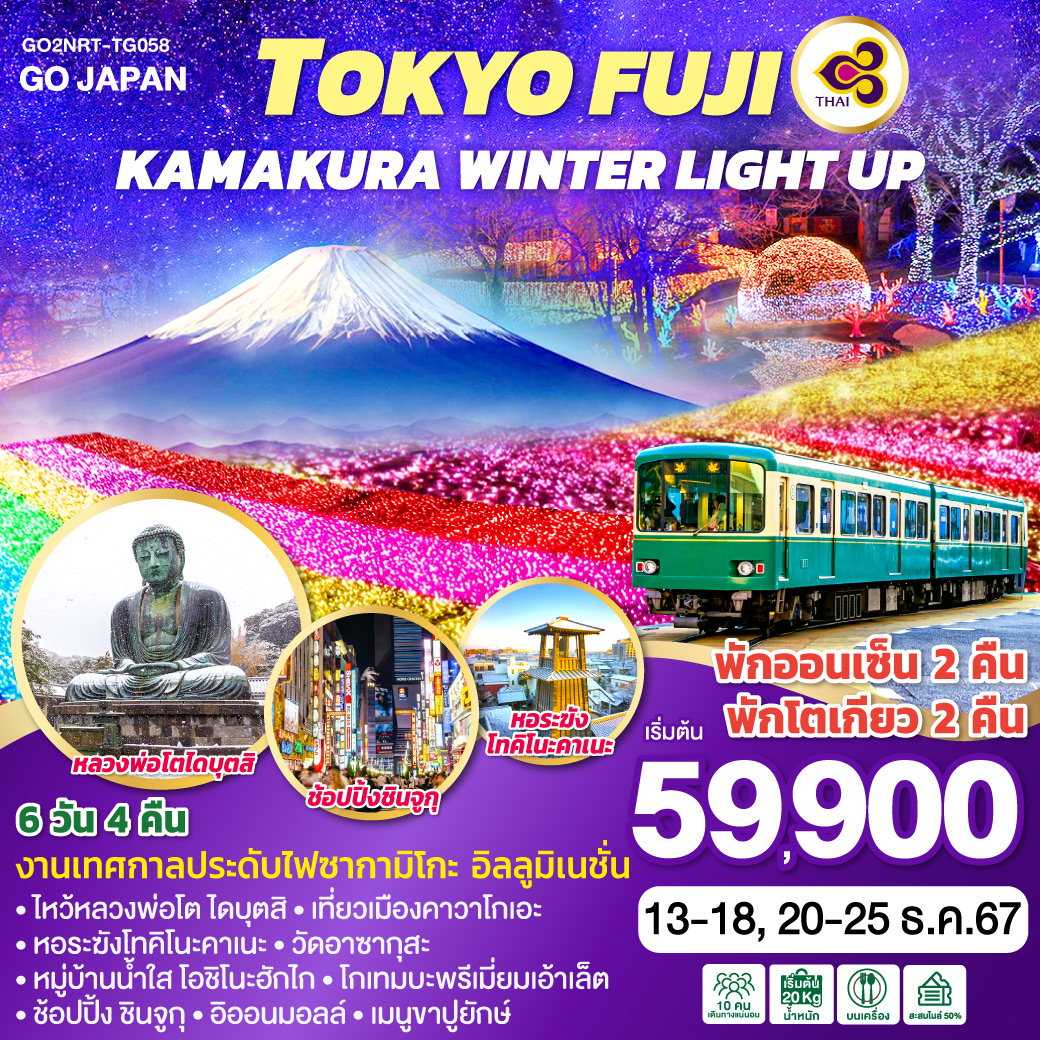 ทัวร์ญี่ปุ่น TOKYO FUJI KAMAKURA WINTER LIGHT UP 6วัน 4คืน TG