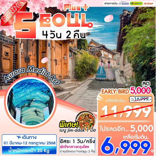 ทัวร์เกาหลี SEOUL PLUS SPRING 4วัน 2คืน BX / 7C