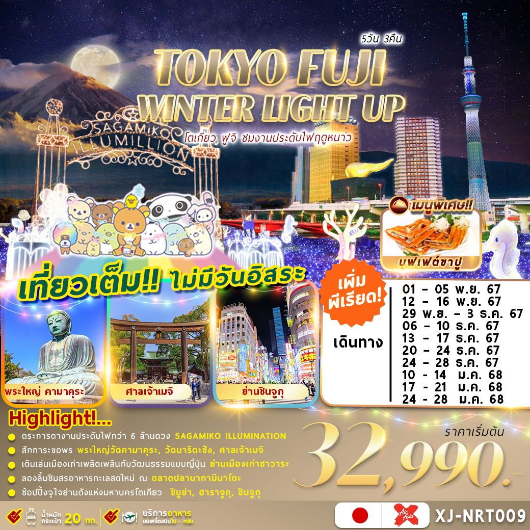 ทัวร์ญี่ปุ่น TOKYO FUJI WINTER ชมงานประดับไฟฤดูหนาว เที่ยวเต็มไม่มีอิสระ 5วัน 3คืน XJ