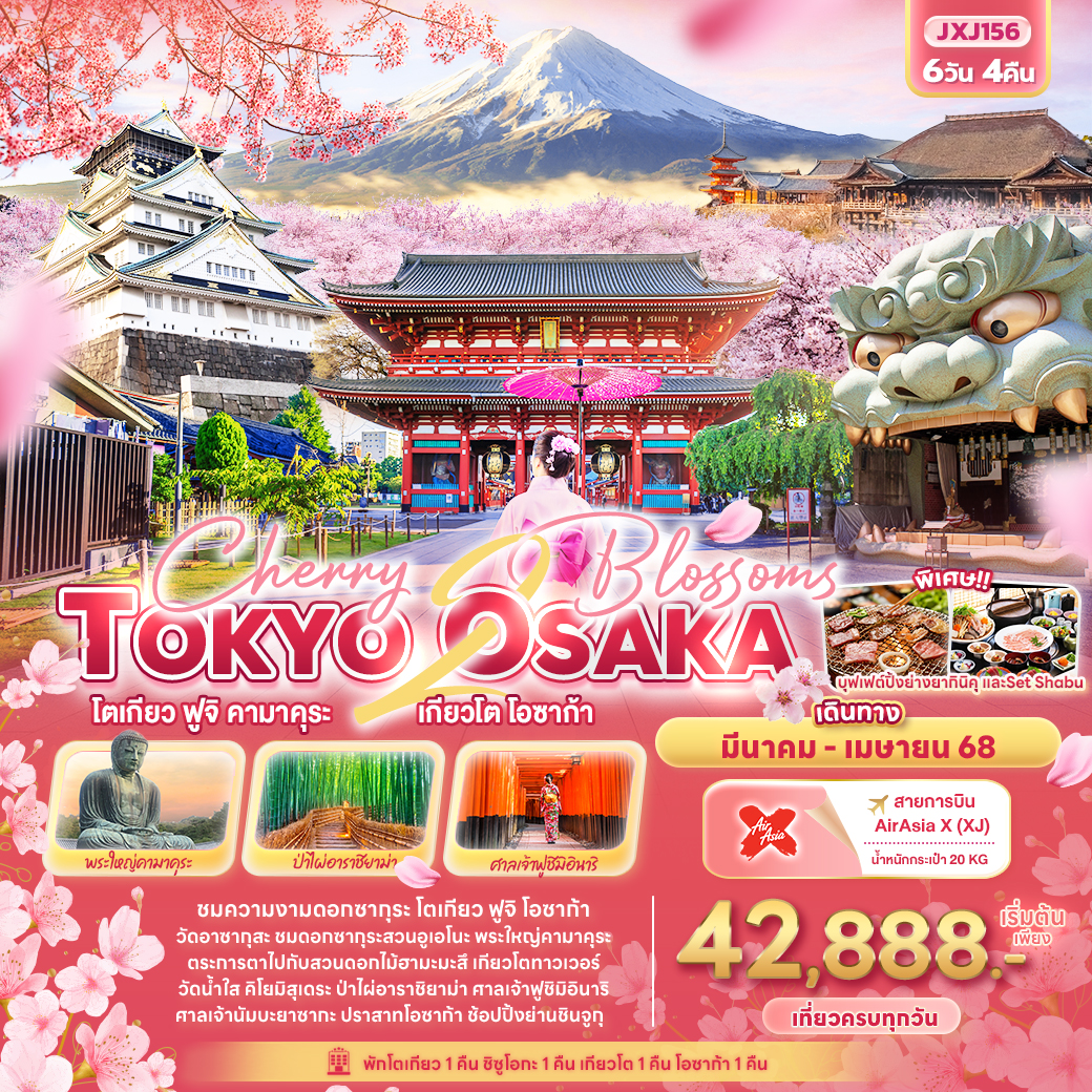 ทัวร์ญี่ปุ่น Cherry 2 blossoms TOKYO OSAKA โตเกียว ฟูจิ คามาคุระ เกียวโต โอซาก้า 6วัน 4คืน TG