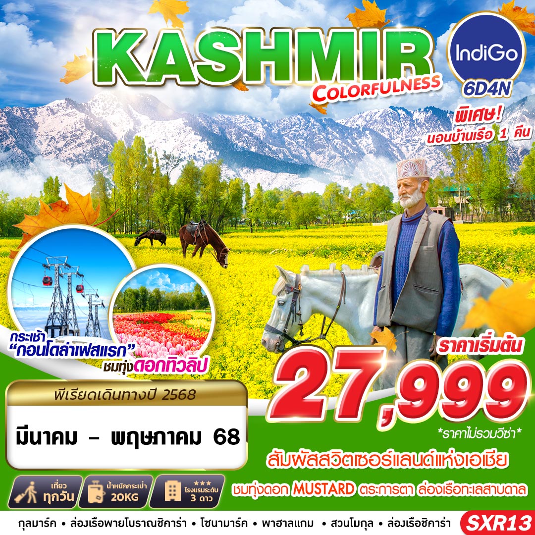 ทัวร์อินเดีย KASHMIR COLORFULNESS 6วัน 4คืน 6E