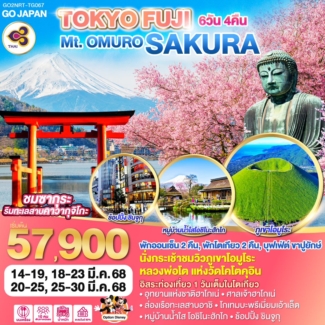 ทัวร์ญี่ปุ่น TOKYO FUJI Mt.OMURO SAKURA 6วัน 4คืน TG