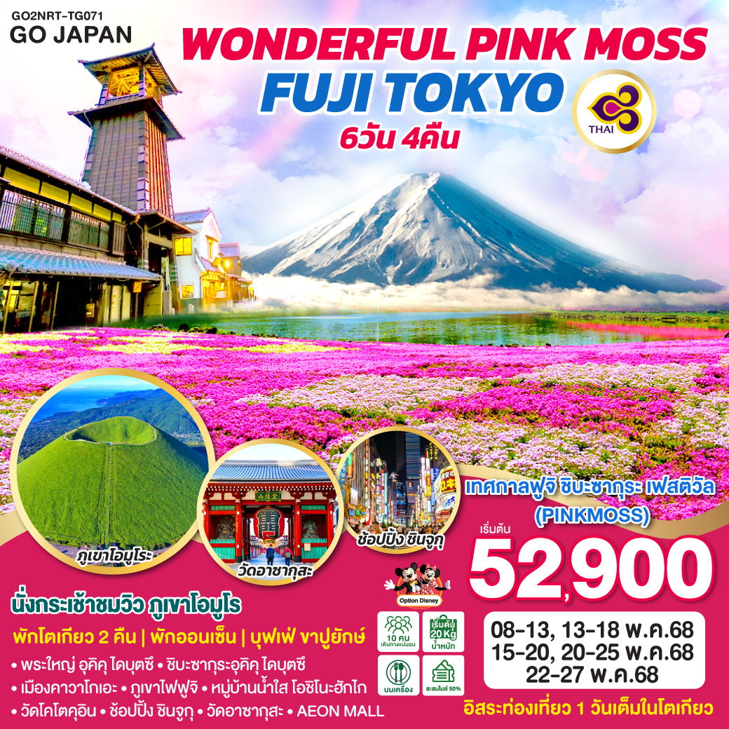 ทัวร์ญี่ปุ่น WONDERFUL PINKMOSS FUJI TOKYO 6วัน 4คืน TG