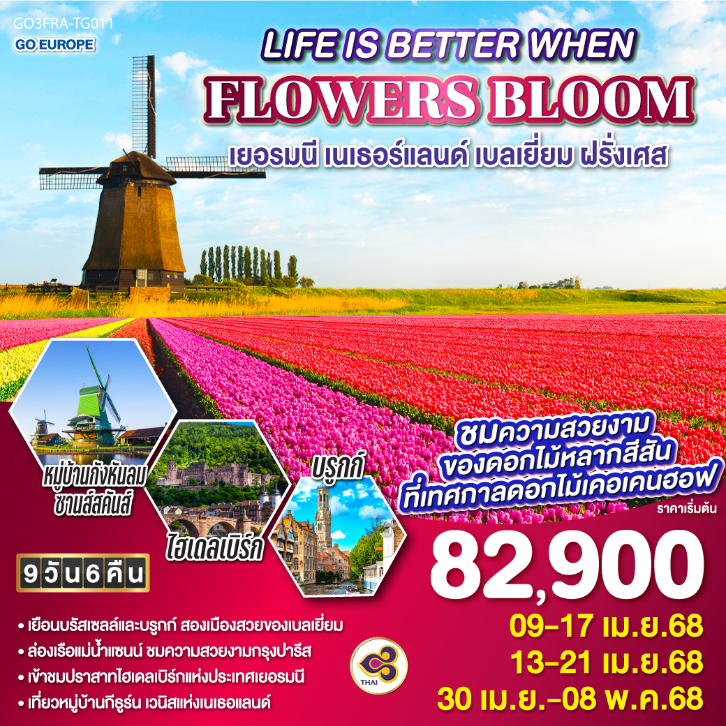 ทัวร์ยุโรป LIFE IS BETTER WHEN FLOWERS BLOOM เยอรมนี เนเธอร์แลนด์ เบลเยี่ยม ฝรั่งเศส 9วัน 6คืน TG