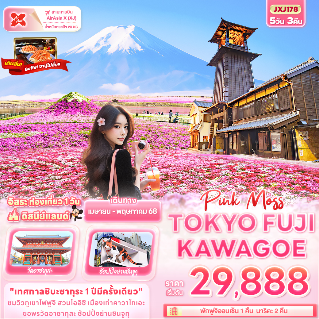 ทัวร์ญี่ปุ่น Pink Moss TOKYO FUJI KAWAGOE 5วัน 3คืน XJ