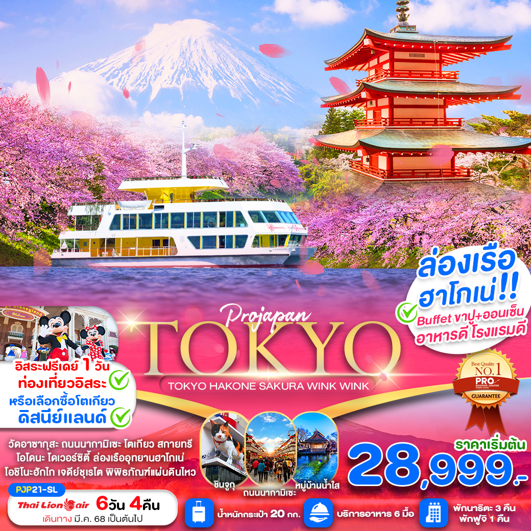 ทัวร์ญี่ปุ่น TOKYO HAKONE SAKURA WINK WINK FREE DAY 6วัน 4คืน SL