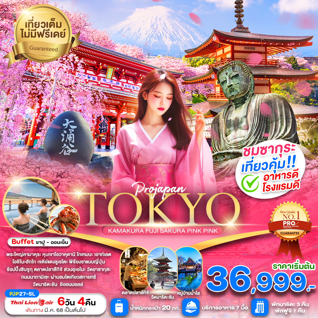 ทัวร์ญี่ปุ่น TOKYO KAMAKURA FUJI SAKURA PINK PINK 6วัน 4คืน SL