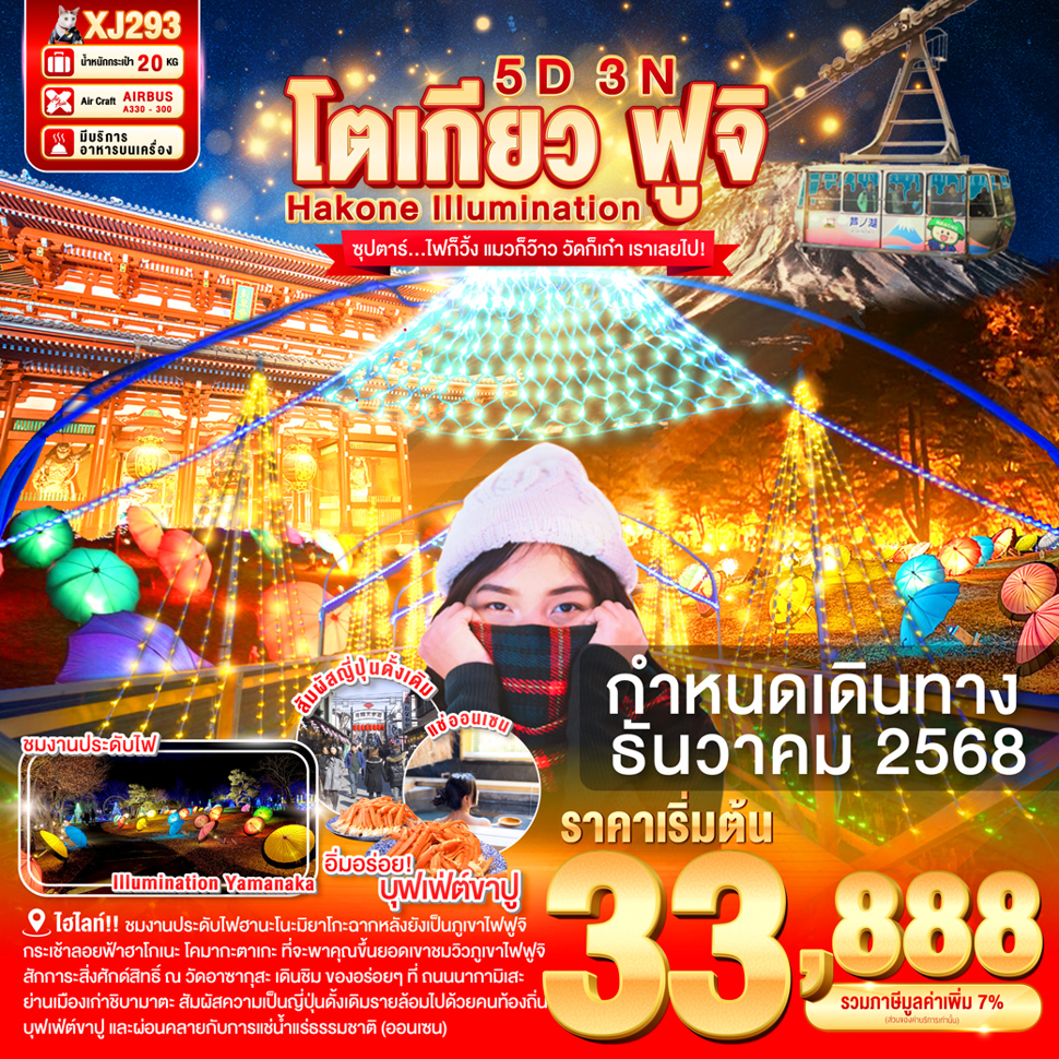 ทัวร์ญี่ปุ่น TOKYO HAKONE FUJI ILlUMINATION ซุปตาร์...ไฟก็วิ้ง แมวก็ว๊าว วัดก็เก๋า เราเลยไป! 5วัน 3คืน XJ