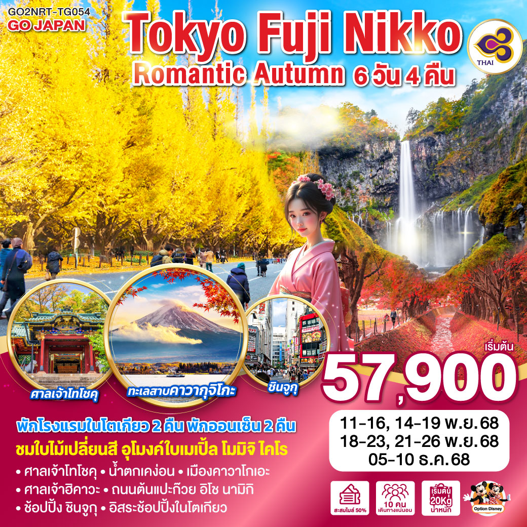 ทัวร์ญี่ปุ่น TOKYO FUJI NIKKO ROMANTIC AUTUMN 6วัน 4คืน TG