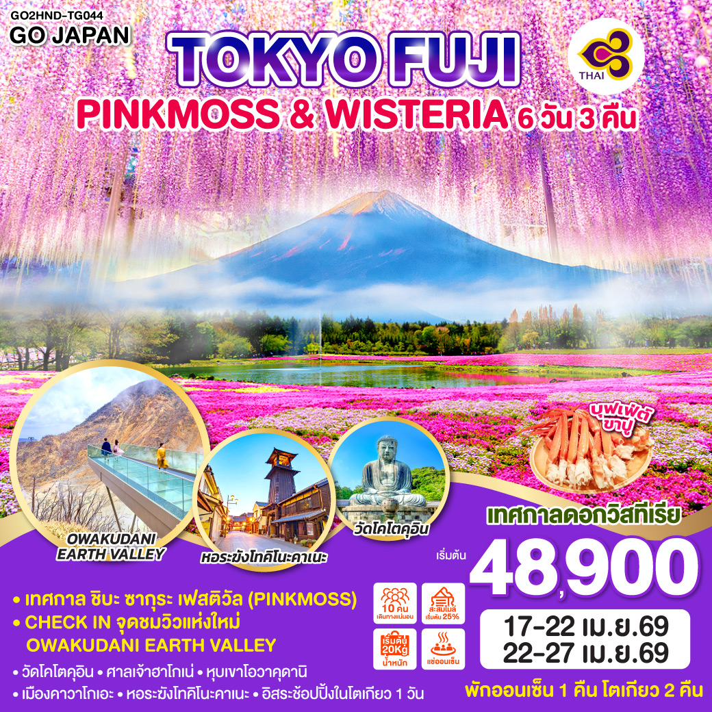ทัวร์ญี่ปุ่น TOKYO FUJI PINKMOSS & WISTERIA 6วัน 3คืน TG