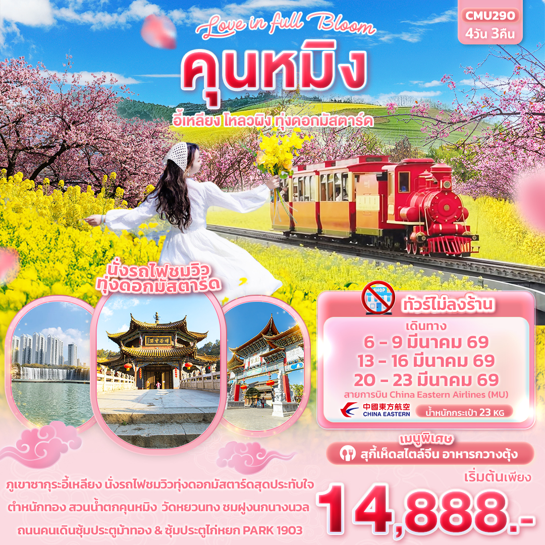 ทัวร์จีน คุณหมิง Love in Full Bloom คุนหมิง อี้เหลียง โหลวผิง ทุ่งดอกมัสตาร์ด 4วัน 3คืน (ไม่ลงร้านช้อป) MU