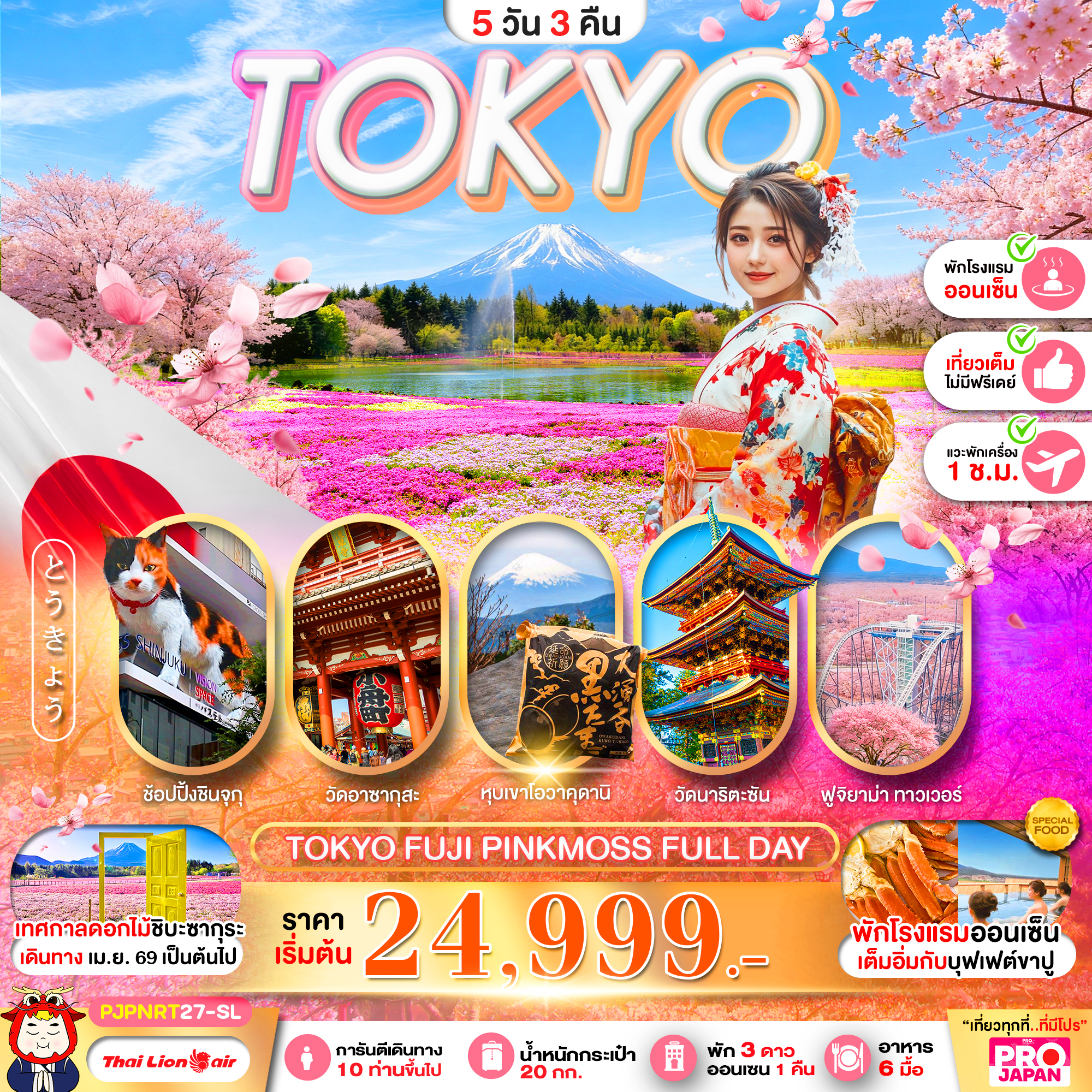 ทัวร์ญี่ปุ่น TOKYO FUJI PINK MOSS FULL DAY 5วัน 3คืน SL