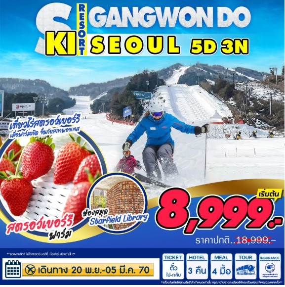 ทัวร์เกาหลี Seoul-Ski Gangwondo 5วัน 3คืน BX / 7C