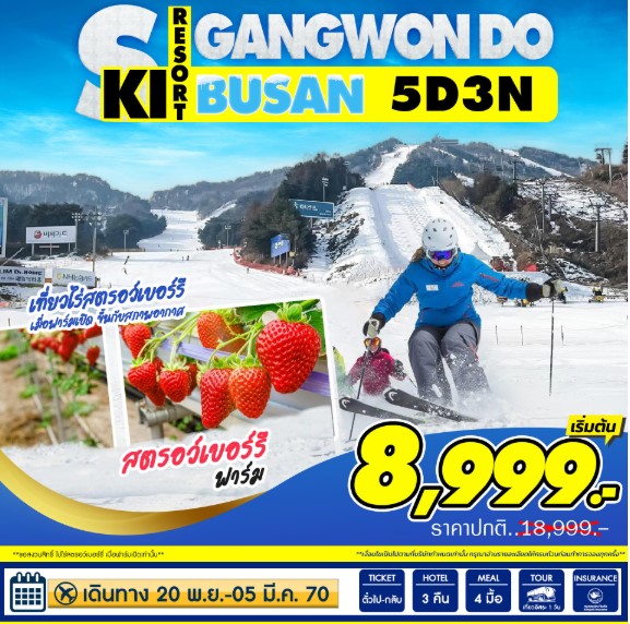 ทัวร์เกาหลี Busan-Ski Gangwondo 5วัน 3คืน 7C / LJ / BX / TW