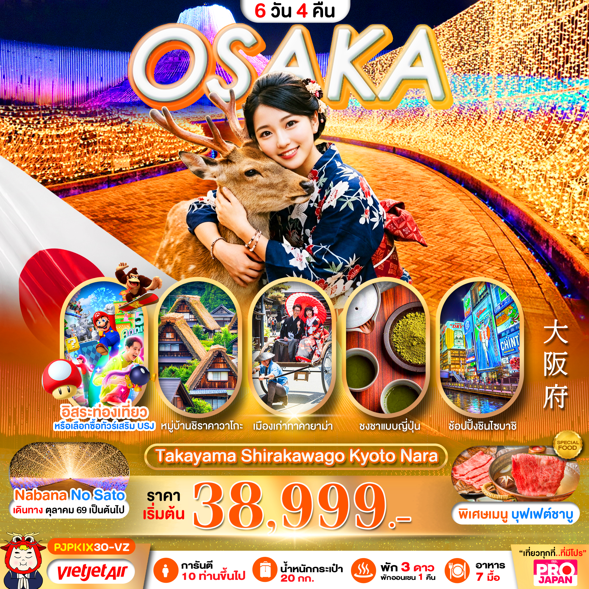 ทัวร์ญี่ปุ่น PRO OSAKA TAKAYAMA SHIRAKAWAGO KYOTO NARA 6วัน 4คืน VZ