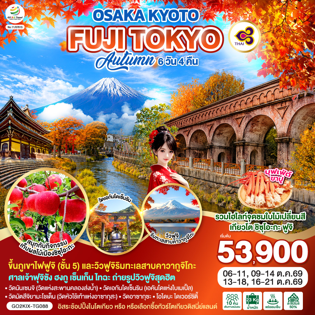 ทัวร์ญี่ปุ่น OSAKA KYOTO FUJI TOKYO AUTUMN FRUIT PARK 6วัน 4คืน TG รหัส JP2844