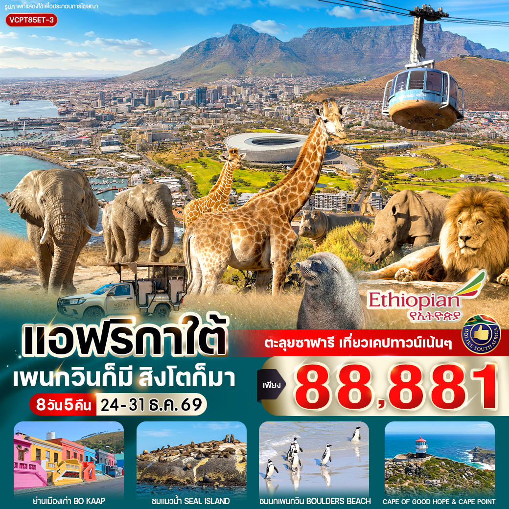 ทัวร์แอฟริกาใต้ แอฟริกาใต้ แพนกวินก็มี สิงโตก็มา 8วัน 5คืน ET