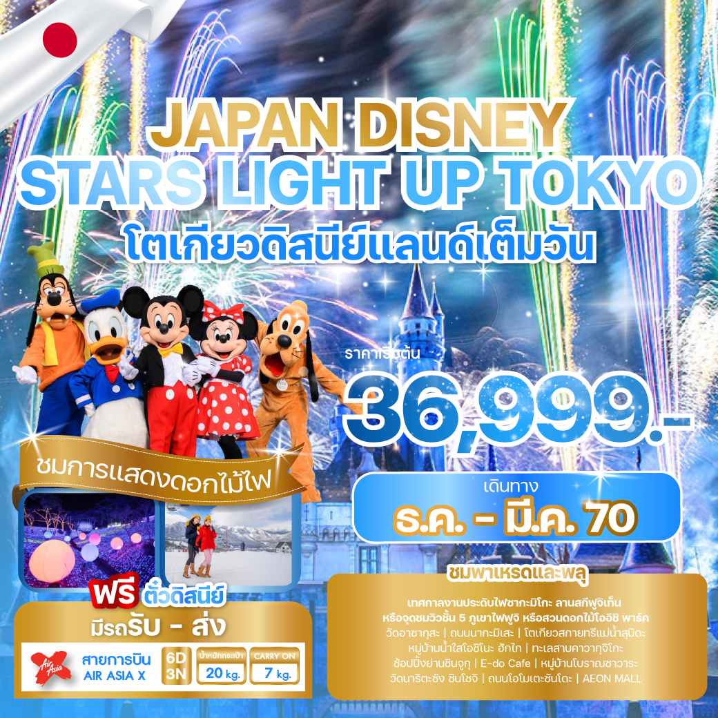 ทัวร์ญี่ปุ่น JAPAN DISNEY STARS LIGHT UP TOKYO โตเกียวดิสนีย์แลนด์เต็มวัน 6วัน 3คืน XJ