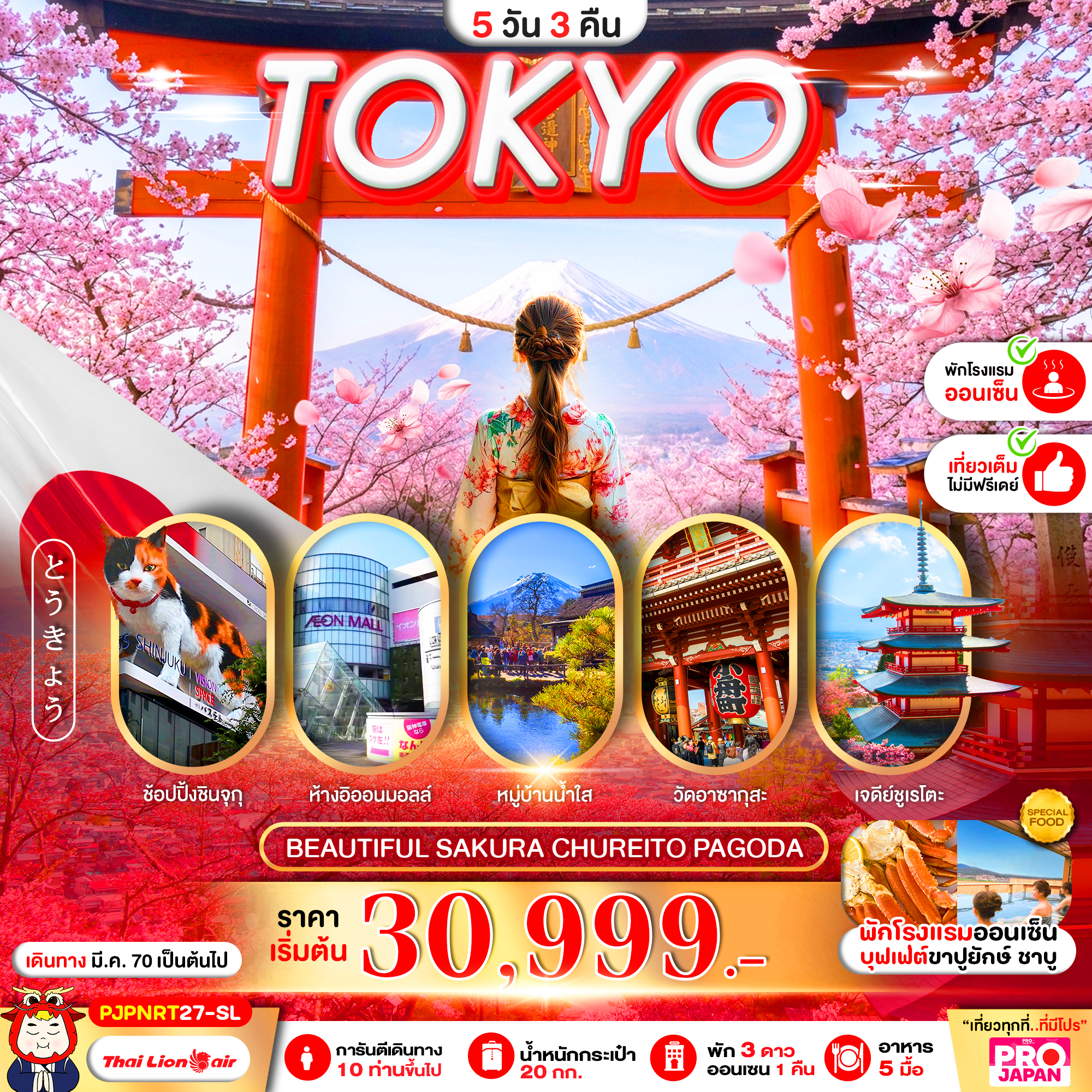 ทัวร์ญี่ปุ่น PRO TOKYO BEAUTIFUL SAKURA CHUREITO PAGODA FULL DAY 5วัน 3คืน SL