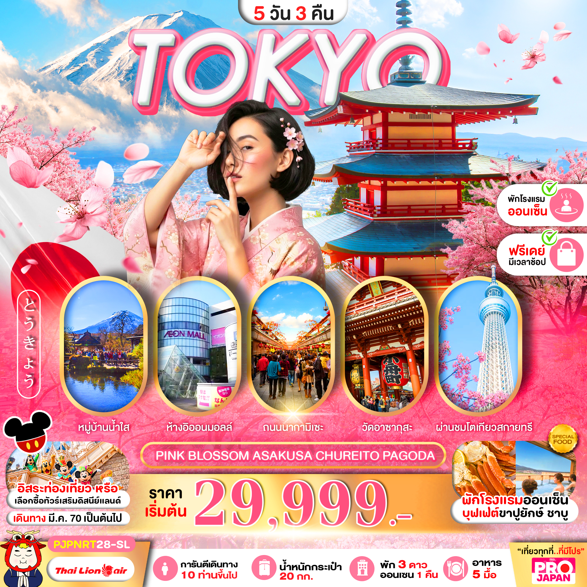 ทัวร์โตเกียว PRO TOKYO PINK BLOSSOM ASAKUSA CHUREITO PAGODA FREE DAY 5วัน 3คืน SL